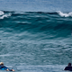 Surfers watch dolphins ride the waves off Sydney’s Palm Beach.